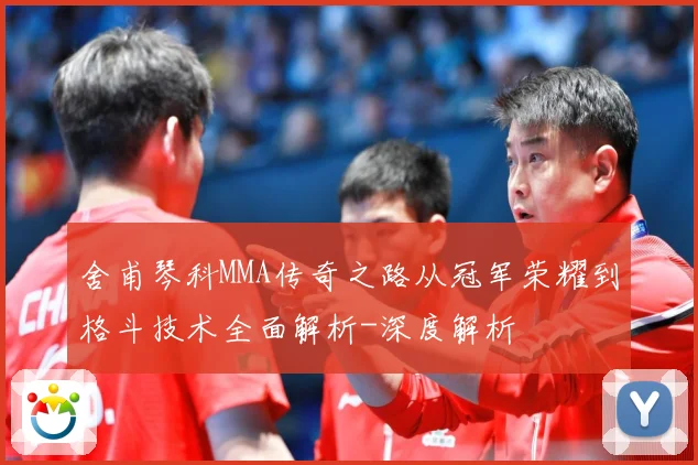 舍甫琴科MMA传奇之路从冠军荣耀到格斗技术全面解析-深度解析