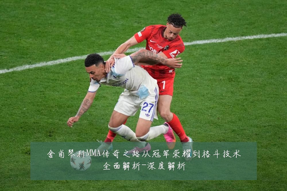 舍甫琴科MMA传奇之路从冠军荣耀到格斗技术全面解析-深度解析